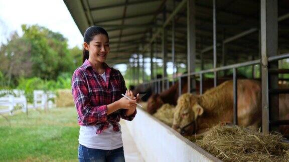 亚洲有吸引力的农业牛农民妇女在农场工作