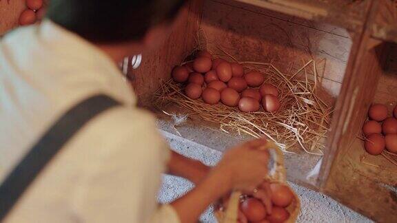从养鸡场捡鸡蛋的妇女