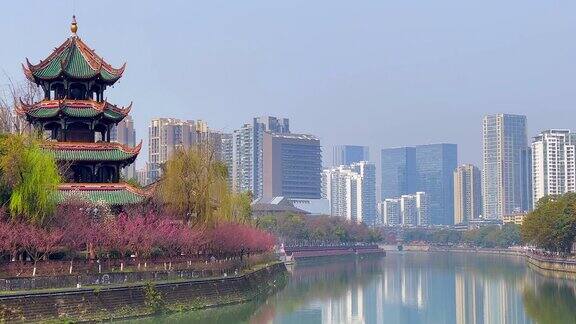 中国四川成都春日桃花盛开三只鸟飞过望江亭锦江上空背景是住宅和办公楼