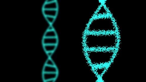 二维动画的两个DNA组成的粒子在一个黑色的背景60fps物体是垂直的重点是在前面
