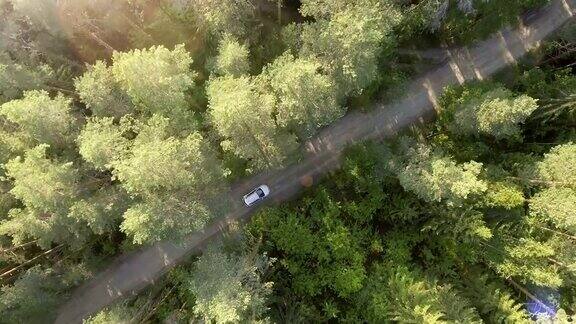 森林道路上的白色汽车鸟瞰图