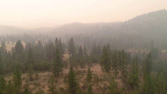 无人机在华盛顿东部森林大火的野火烟雾中飞行