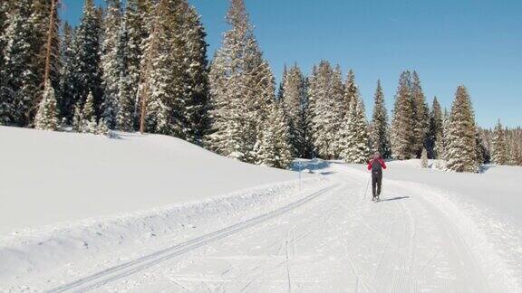 一个越野滑雪者在“V2”方法沿着一个整洁的小道在一个晴朗阳光明媚的“蓝鸟”日在科罗拉多的GrandMesa国家森林的慢速手持镜头滑雪