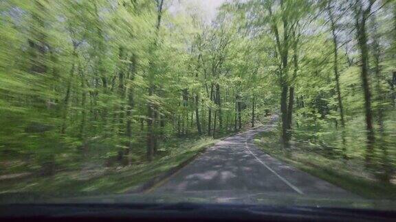 驾驶弯曲的森林路