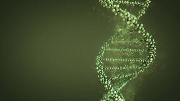 3d医学背景与DNA链