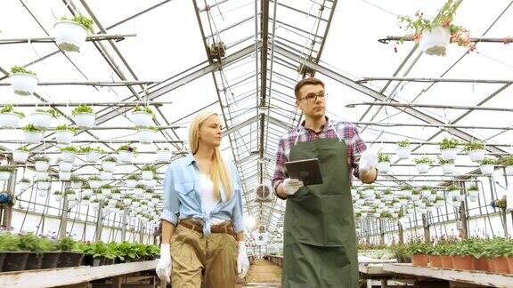 在阳光工业温室中农业工程师和园丁用平板电脑检测花卉和分析数据可见成排的稀有和商业上可行的植物
