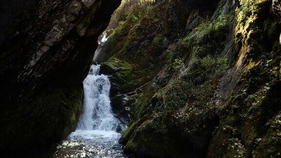 瀑布-阿尔泰自然保护区
