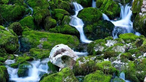 河流落在长满苔藓的石头中间