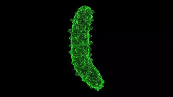 3D细菌在黑色背景上旋转由闪闪发光的微粒构成的物体健康医学概念用于标题文本演示3d动画60FPS