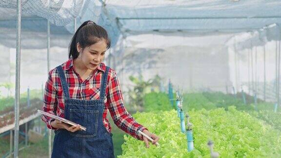 微笑的亚洲女性聪明的农民使用数字平板电脑控制和检查温室蔬菜沙拉农场的水培系统小企业主使用技术管理农场