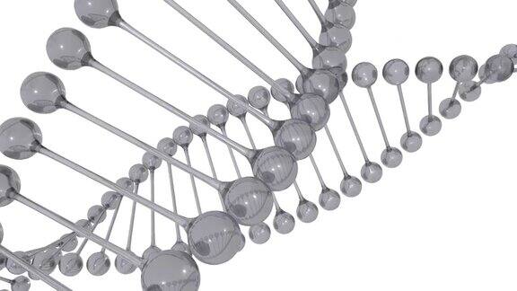 DNA螺旋模型