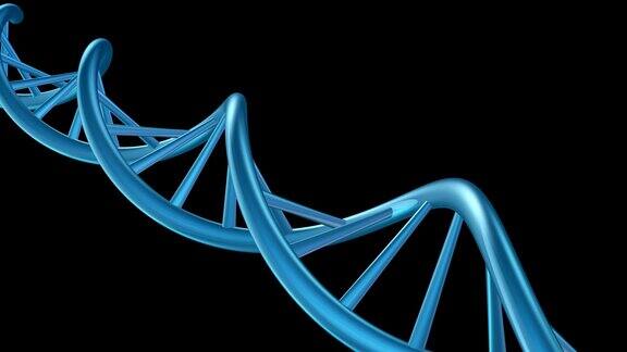 旋转DNA螺旋在黑色背景紫色