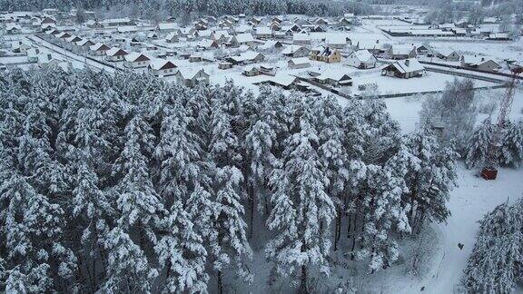 冬天的森林里树上积了很多雪结了霜白天飞上一架无人机俯视被雪覆盖的树木