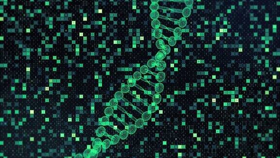 针对二进制代码的DNA模型