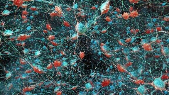 神经活动:大脑中的神经元活动