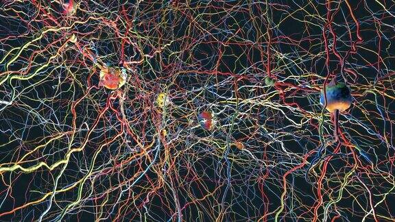 缓慢飞行通过微观神经网络与神经元连接和神经元-三维插图