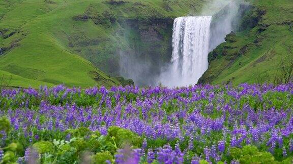 夏天冰岛的斯科加佛斯瀑布