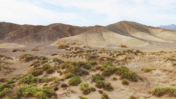 死亡谷国家公园:牧豆树平原沙丘