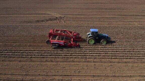 收获新鲜马铃薯的拖拉机和农业机械的鸟瞰图