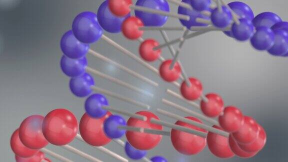 DNA示意图表示双螺旋结构螺旋结构抽象的背景3d动画医学研究