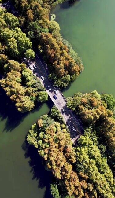 航拍的道路通过湖泊和树木地区