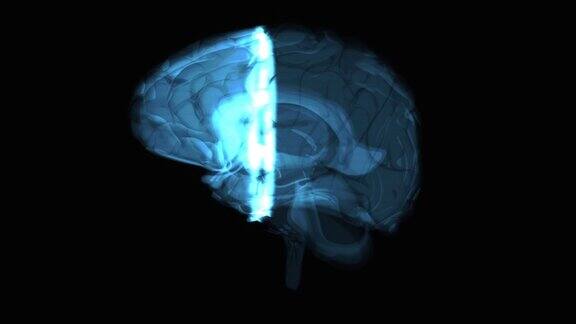 x射线下大脑运动设计的3D抽象艺术
