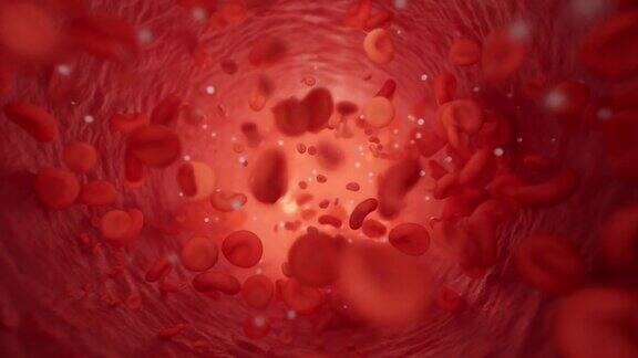 血管内的血流