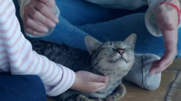 一位年轻女子和她的猫