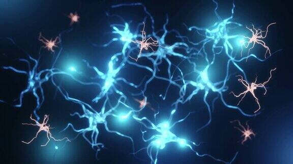 神经元和胶质细胞