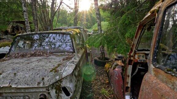 落日的光束照亮了汽车垃圾场废弃的旧汽车上满是污物、铁锈和青苔替身拍摄4k