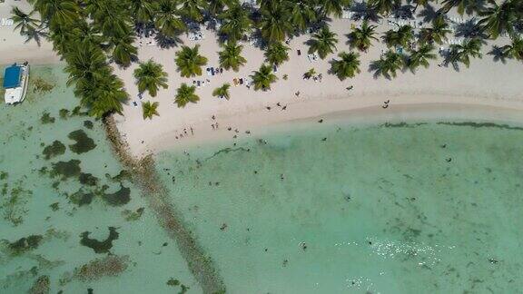 热带岛屿上的天堂海滩多米尼加共和国的绍纳岛高级无人机视图