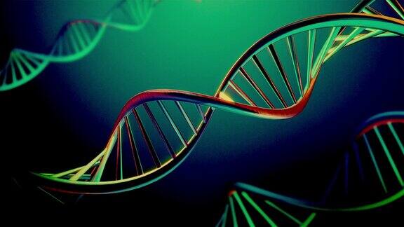 4K旋转DNA序列可循环