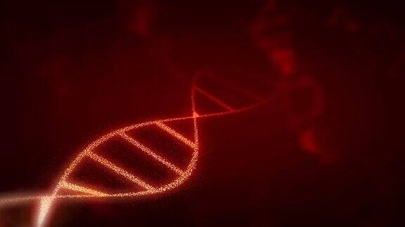 脱氧核糖核酸(DNA)橙色抽象深色背景用于生物学、科学研究和基因遗传学研究的3DADN视频