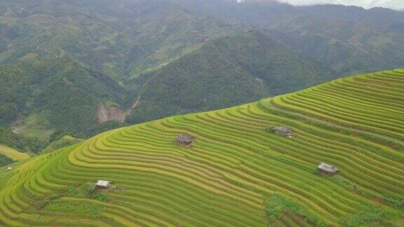 越南的梯田景观