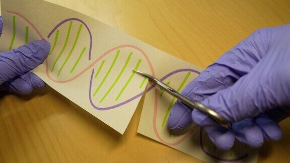 手切DNA分子的一部分基因工程和基因操纵概念