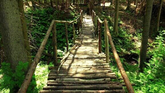 森林中悬崖上的木桥4k