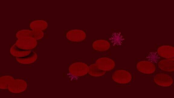 动脉、静脉中的红细胞和病毒细胞在人体内流动医学概念视频3D渲染高品质4k画面