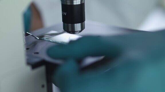 科学家在显微镜下用科学样本剪辑载玻片