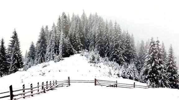 冬天的山农村景观树被雪覆盖着新年快乐冬天的故事