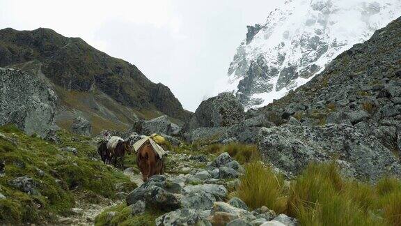 萨尔坎泰山脉徒步旅行