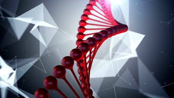 4K旋转DNA的化学背景