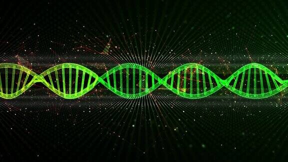 旋转DNA链的无缝循环动画