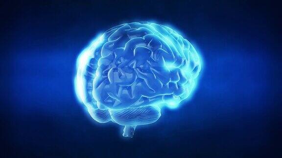 可循环的人类大脑部件