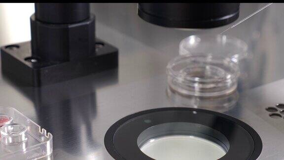 胚胎低温保存胚胎学家在胚胎低温保存准备过程中使用亮片吸管的实验室操作将胚胎从低温保护剂中移出4k的视频
