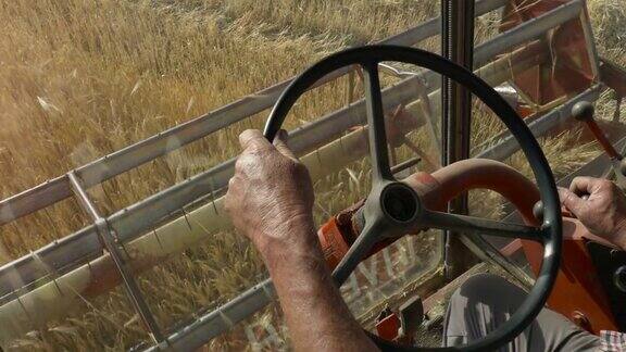 驾驶着一辆脱粒机卡车在金色的麦田里司机手握方向盘拖拉机耕种