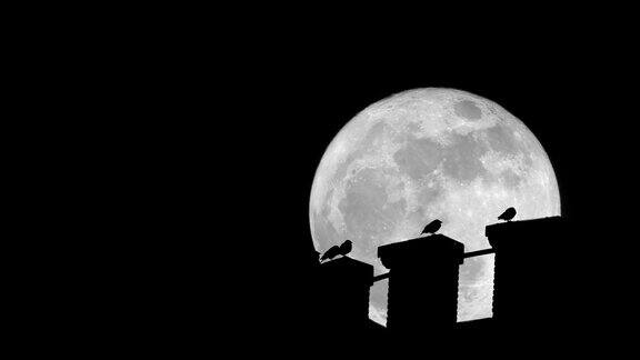 超级月亮下水塔上的鸟儿