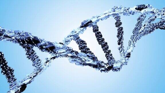 DNA双螺旋蓝色透明的蓝色背景教育科学背景科学与遗传信息概念设计