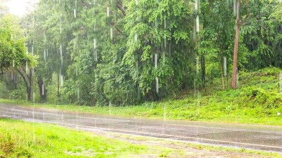 在通往森林的道路上大雨导致交通中断
