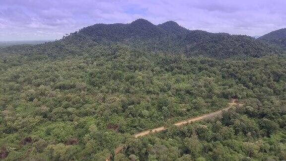 空中飞行:飞越雨林背景中的希尔