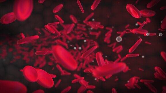 移动的血细胞是红细胞红色圆形粒子的3D动画血管中血液的流动